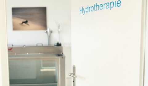 Hydrotherapie_1